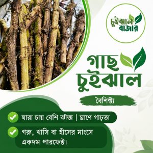 গাছ/ডাল চুইঝাল ( ১ কেজি)