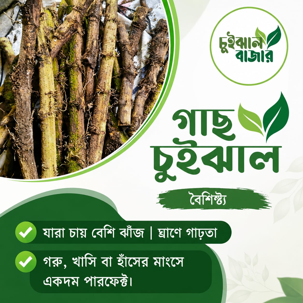গাছ/ডাল চুইঝাল (৫০০ গ্রাম)